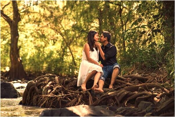 夢見在家裡插樹苗會是什麼預兆_周公解夢官網