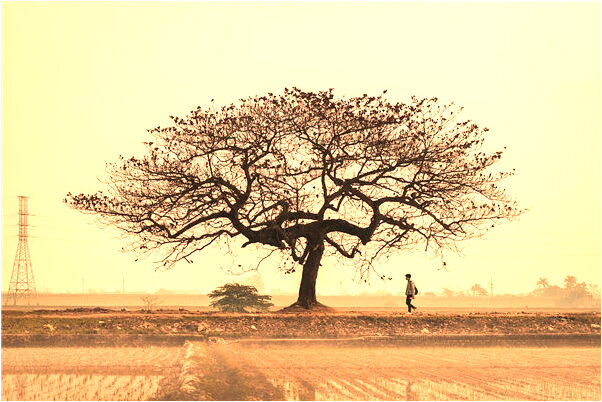 夢見抽菸抽完直接就掉在床上預示了什麼_周公解夢官網