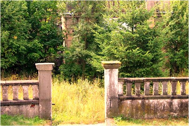 夢到了一車雞蛋怎么回事_周公解夢官網