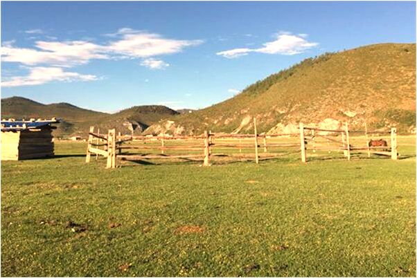 夢到車禍自己很大力氣在救是不是好的徵兆呢_周公解夢官網