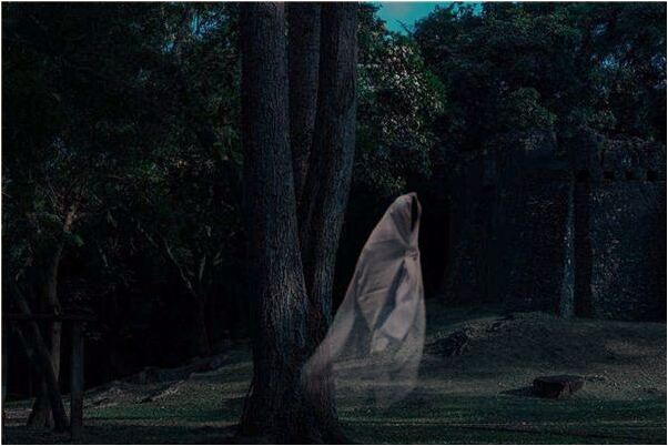 夢到大蟾蜍追我到山上意味著什麼_周公解夢官網