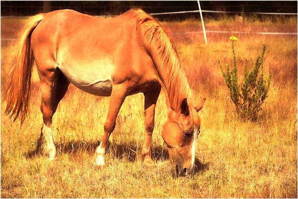 夢到去火車站買火車票是好事還是壞事_周公解夢官網