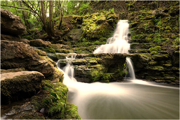 夢到了男女混上廁所意味著什麼_周公解夢官網