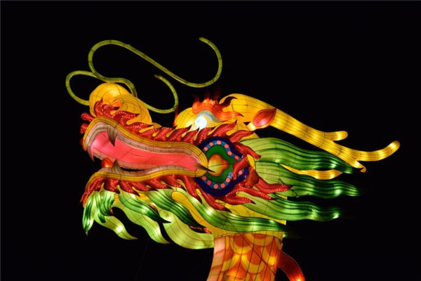 屬龍年份和性格_十二生肖