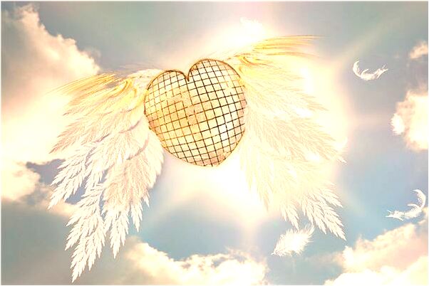 夢見內衣掉河裡是咋回事_周公解夢官網