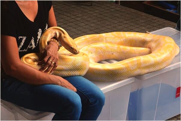 夢到了死去的親人要回來過年有什麼預示嗎_周公解夢官網