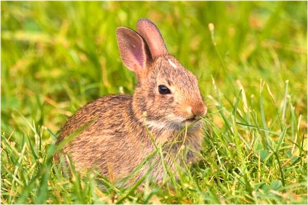 夢到了自己右手指甲掉啦有什麼意義嗎_周公解夢官網