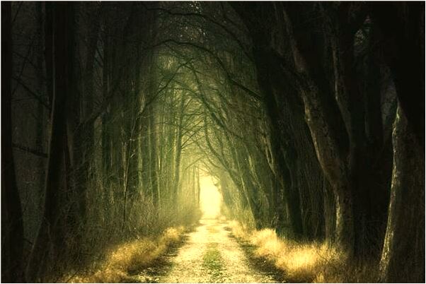 夢到暗戀的男性有女朋友怎么回事_周公解夢官網