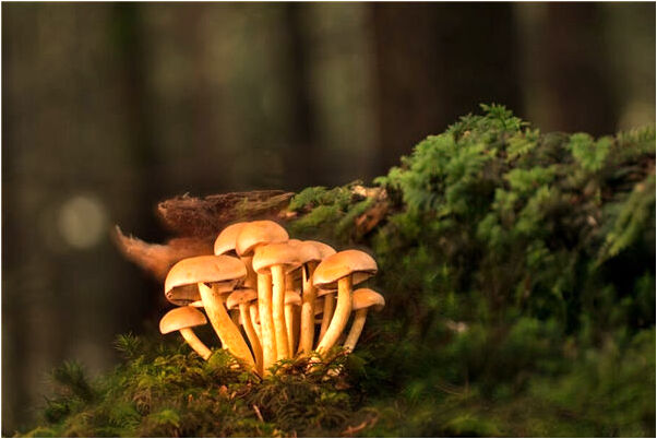 夢到在懸崖邊上後面爬上去有什麼意思嗎_周公解夢官網