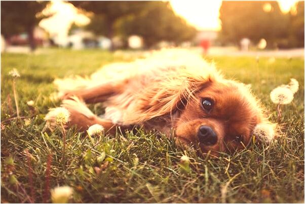 夢見被女人砍傷手臂有什麼說法_周公解夢官網