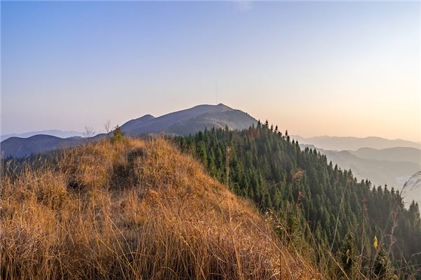 夢見兩個大坡_周公解夢