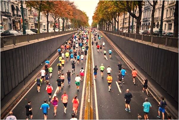 夢到白貓難產死亡了怎么說_周公解夢官網