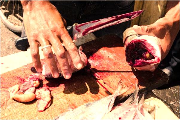 夢到了不認識的人說我壞話代表什麼_周公解夢官網