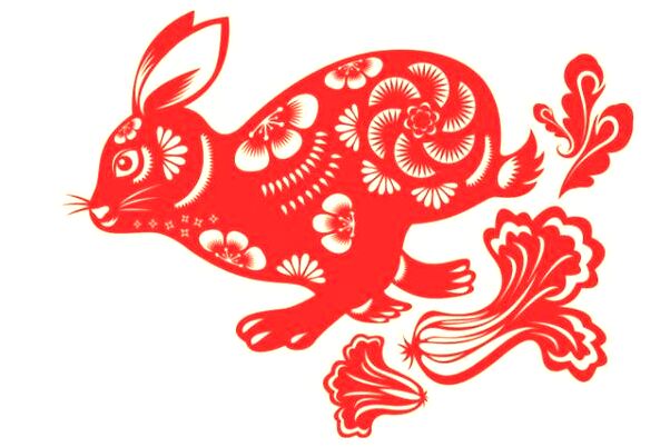 夢到了一窩白老鼠預示了什麼_周公解夢官網