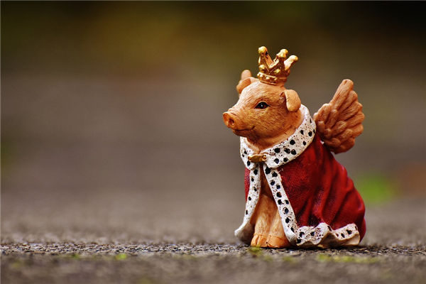 屬豬女的性格運勢_十二生肖