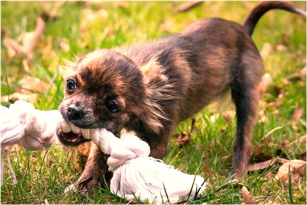 夢到了即將發生在災有什麼預示嗎_周公解夢官網