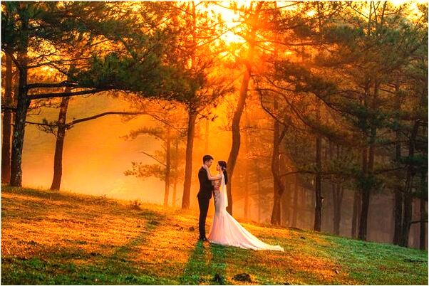 夢到鄰居家的姑娘起圈裡淝會是什麼預兆_周公解夢官網