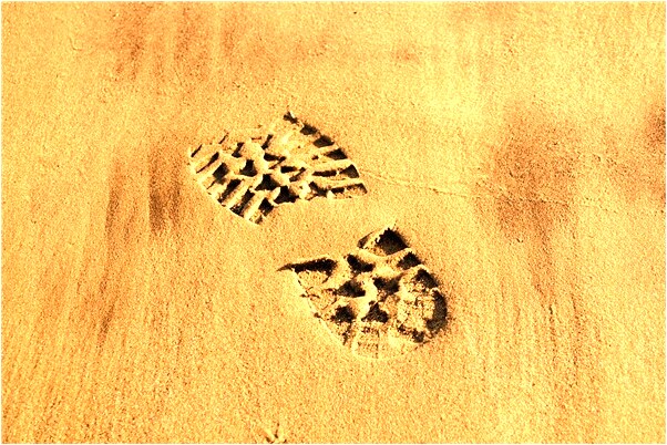 夢到了別人家的狗咬我啥意思_周公解夢官網