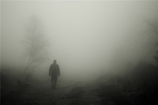 夢到了弟弟回來了是什麼徵兆_周公解夢