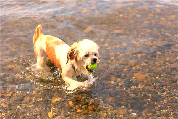 夢到引起醫院爆炸是咋回事_周公解夢官網