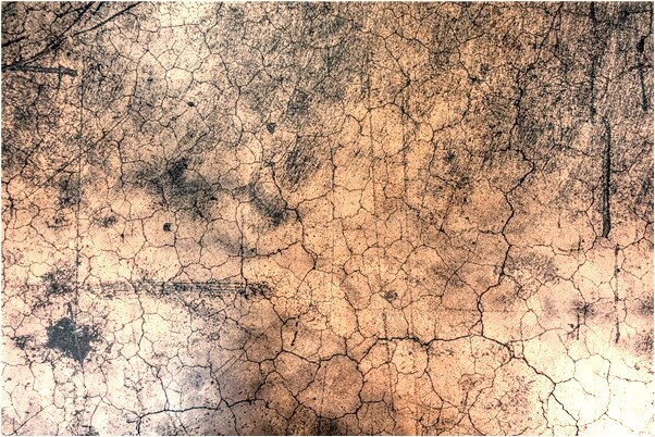 夢到了金甲龍神會是什麼預兆_周公解夢官網