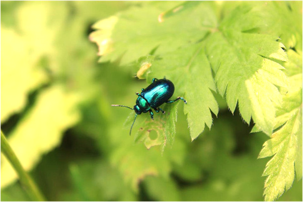 夢到了當兵打仗有男士喜歡自己有什麼預兆_周公解夢官網