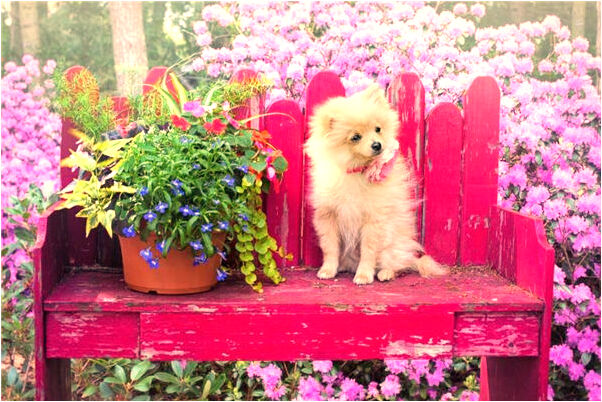 夢到朋友穿紅色西裝是什麼徵兆_周公解夢官網