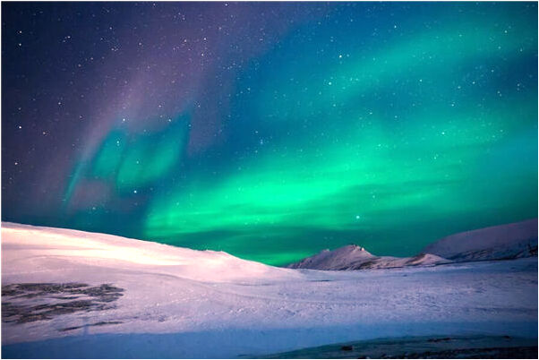 夢到了吃木瓜做的糕點是什麼預兆_周公解夢官網