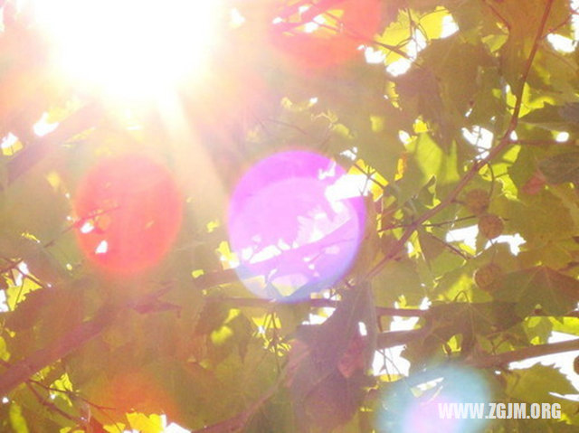 夢見和陌生男人接吻_周公解夢夢到和陌生男人接吻是什麼意思_做夢夢見和陌生男人接吻好不好_周公解夢官網