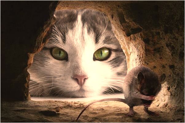 夢到從高空墜落身臨其境啥意思_周公解夢官網