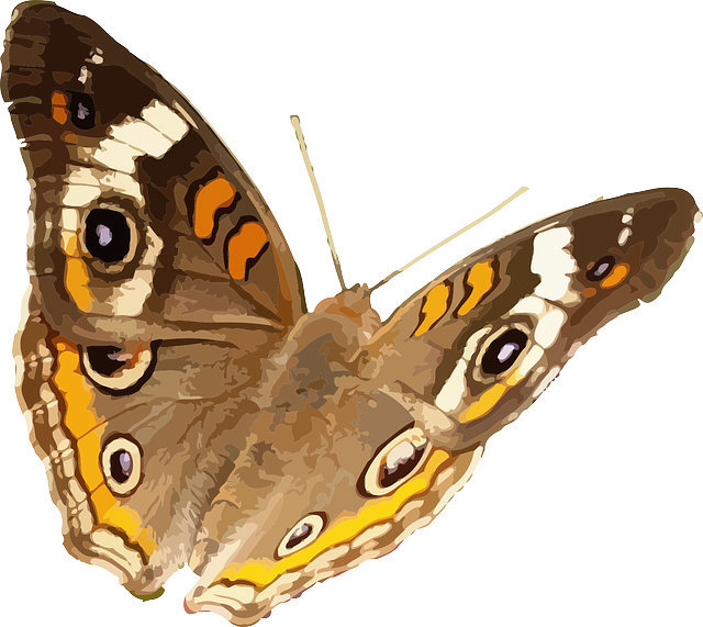 夢見停車場停車_周公解夢夢到停車場停車是什麼意思_做夢夢見停車場停車好不好_周公解夢官網