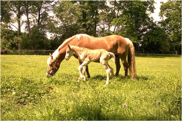 夢到了被人用刀扎了沒出血意味著什麼_周公解夢官網