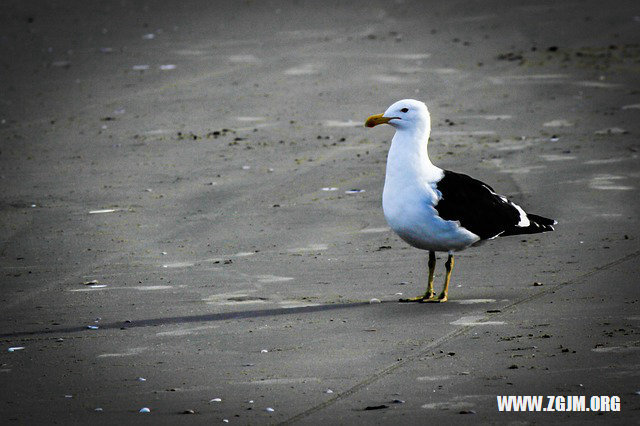 夢見石頭佛像動了_周公解夢夢到石頭佛像動了是什麼意思_做夢夢見石頭佛像動了好不好_周公解夢官網