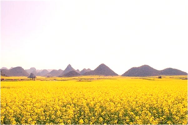 夢見宿舍里的鬼孩子是什麼意思_周公解夢官網