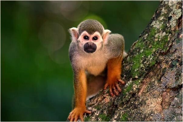 夢見和當了兵的同學交談怎么回事_周公解夢官網