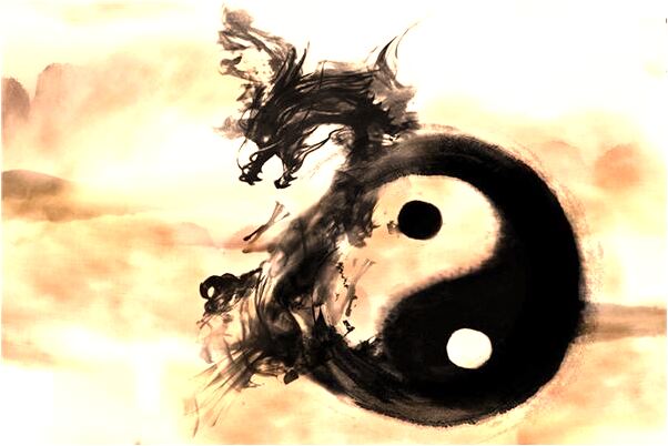 夢到有人從褲兜里飛出蟲子是什麼啟示_周公解夢官網