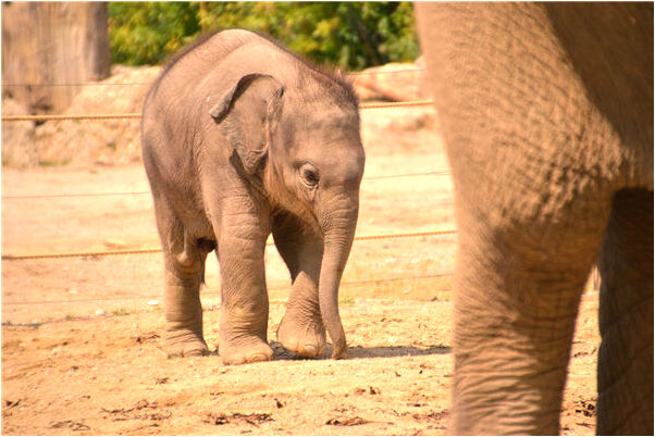 夢到無目的走在泥濘的道上好不好_周公解夢官網