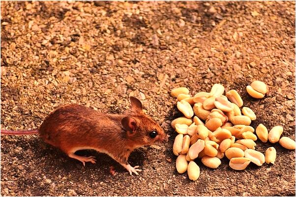 夢到了去陰曹地府怎么說_周公解夢官網