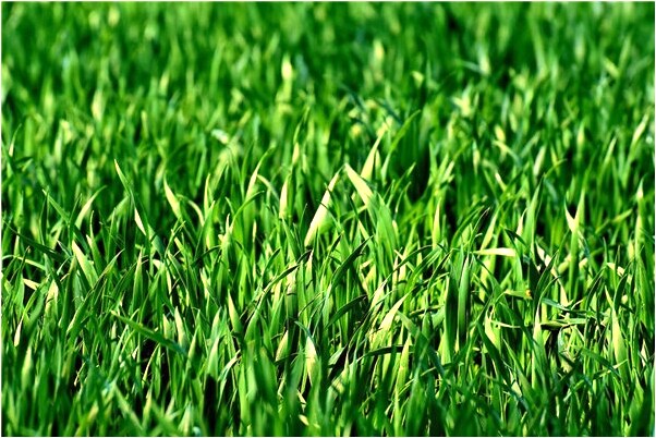 夢到去世的爺爺被人打是什麼徵兆_周公解夢官網