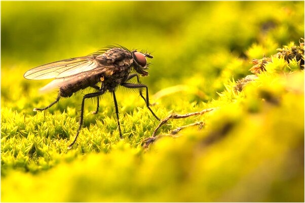 夢見長跑比賽是凶兆還是吉兆_周公解夢官網