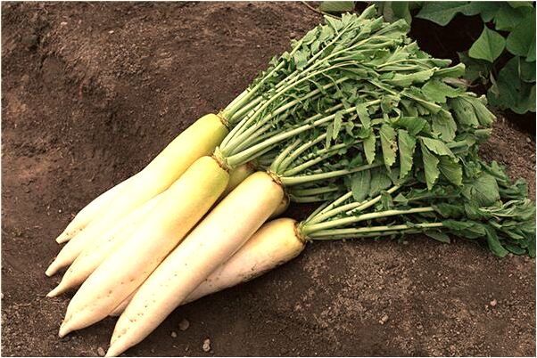 夢見老公失血預示著什麼_周公解夢官網