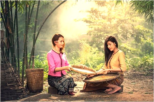 夢到黑貓撲過來就不知道了有什麼意思嗎_周公解夢官網