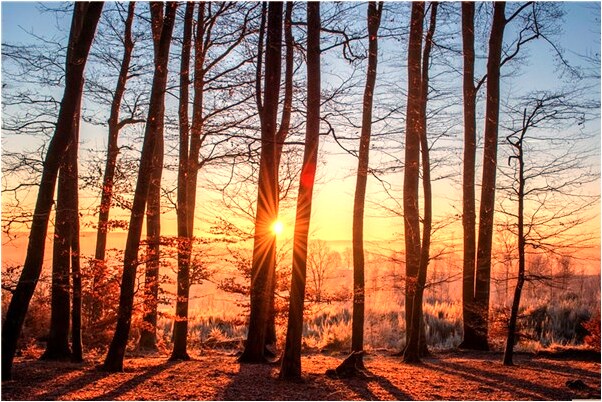 夢見領導喊我離職什麼預兆_周公解夢官網