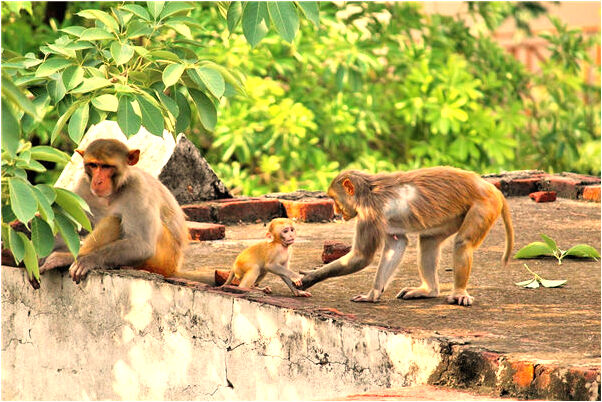 夢到幾個老男人在討論怎么樣_周公解夢官網