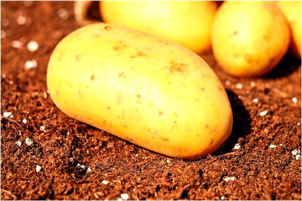 夢見外星人從天空入侵啥意思_周公解夢官網