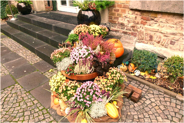 夢到把鞋掉進了水裡有什麼寓意嗎_周公解夢官網