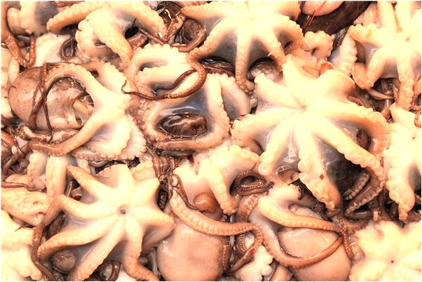 夢到了被警察包圍轟炸有何寓意_周公解夢官網