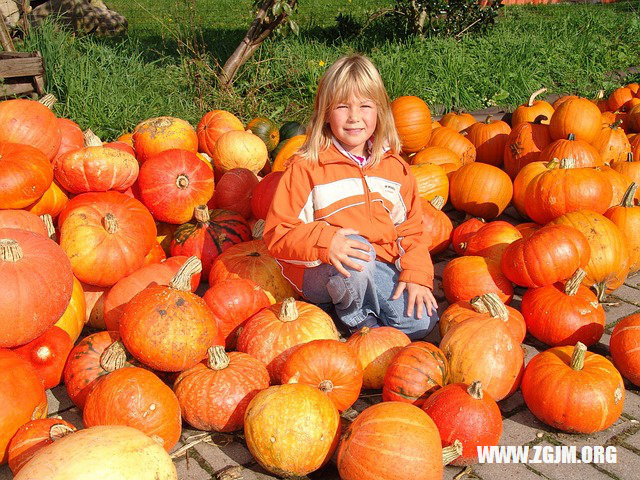 夢見親人流血_周公解夢夢到親人流血是什麼意思_做夢夢見親人流血好不好_周公解夢官網