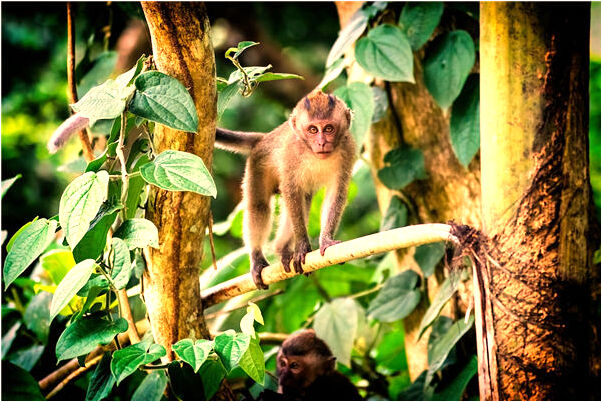 夢到手杌壞了意味著什麼_周公解夢官網