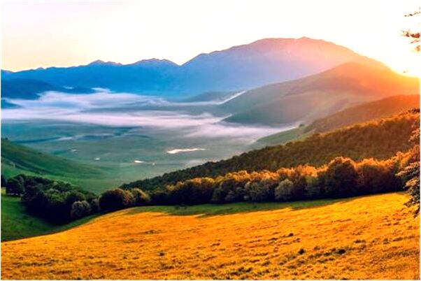 夢到了在大水坑裡洗澡意味什麼_周公解夢官網